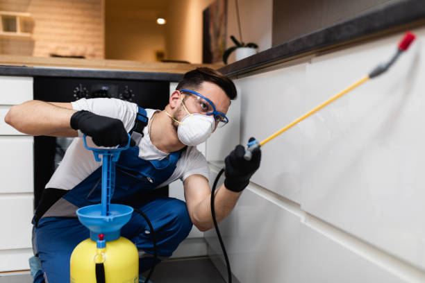 Best Affordable Pest Control Services  in Arden On The Severn, MD