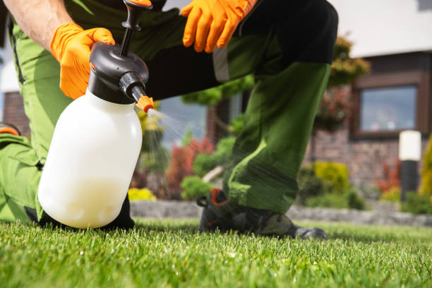 Insect Control in Arden On The Severn, MD