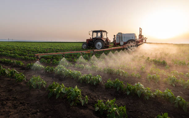 Professional Pest Control in Arden On The Severn, MD