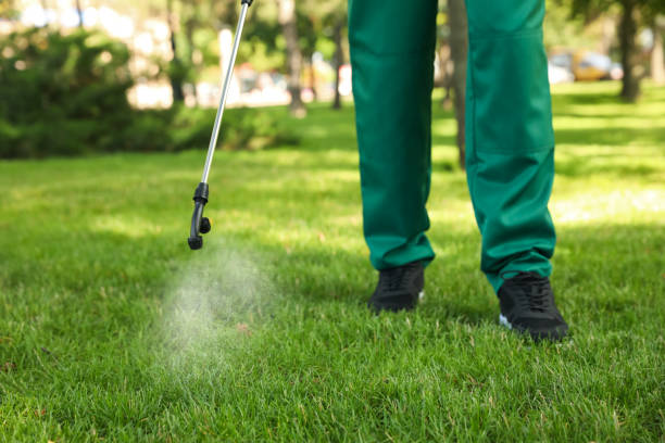 Insect Control in Arden On The Severn, MD