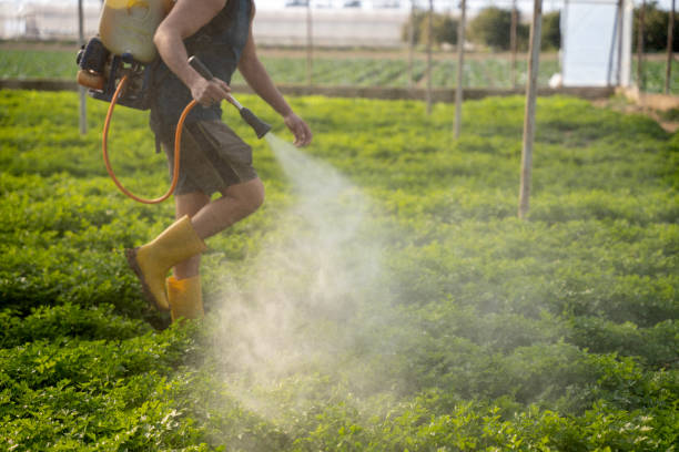 Best Best Pest Control Companies  in Arden On The Severn, MD
