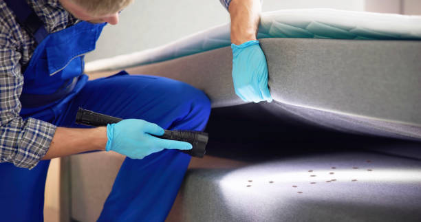 Pest Prevention Services in Arden On The Severn, MD