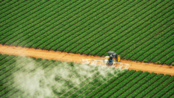 Best Best Pest Control Companies  in Arden On The Severn, MD