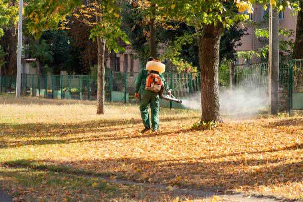 Best Spider Control Near Me  in Arden On The Severn, MD