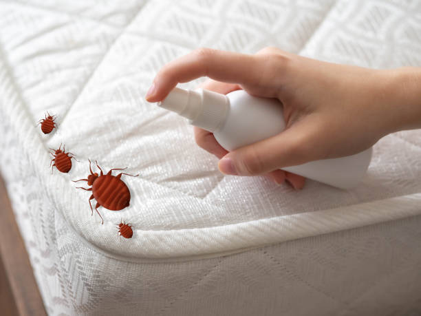 Best Pest Inspection Near Me  in Arden On The Severn, MD