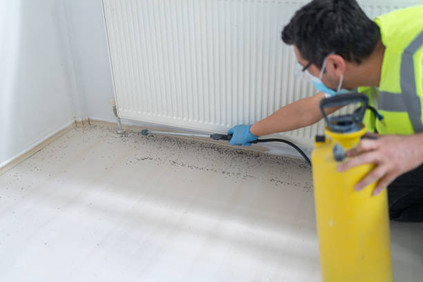 Best Flea Control Services  in Arden On The Severn, MD