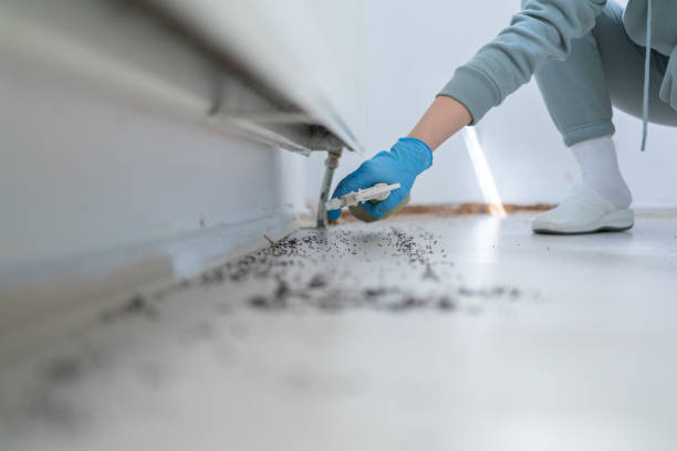 Best Termite Control Services  in Arden On The Severn, MD
